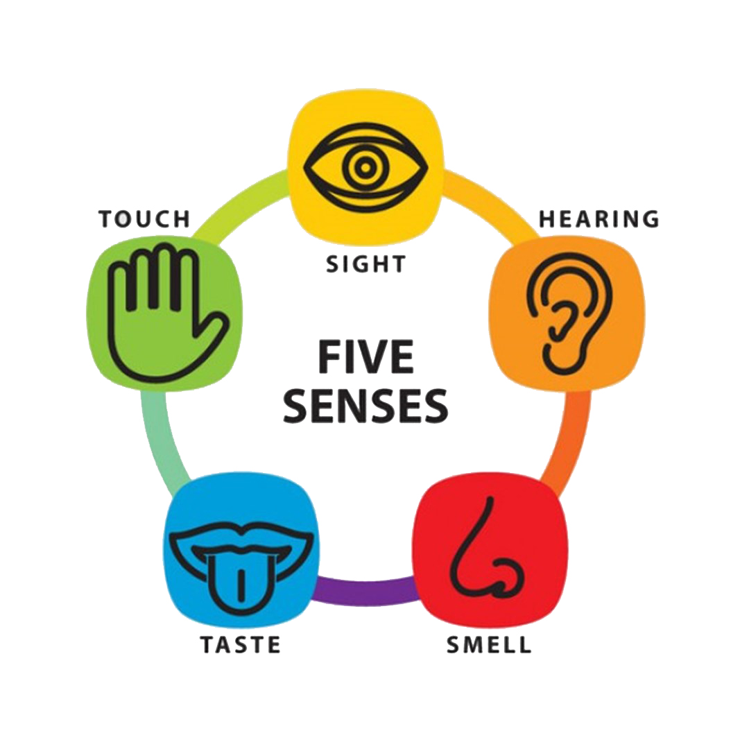 Grounding Techniques with Five Senses - Moving on from Trauma - Terri  Samuels, MS, LMHC, NCC